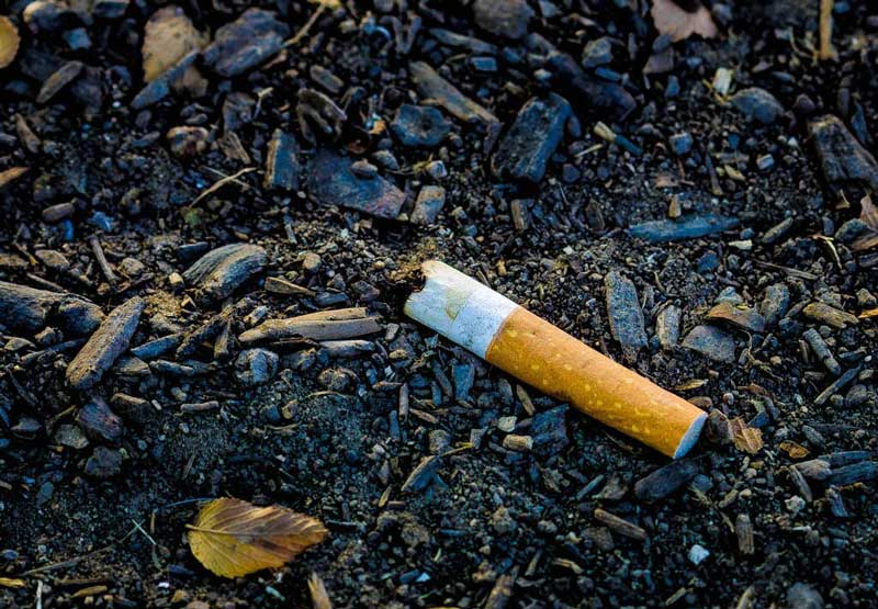 تاثیر ته سیگار بر محیط زیست